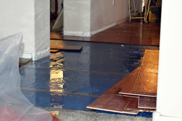 Professional Sewage Cleanup technician working in Tower City, ND